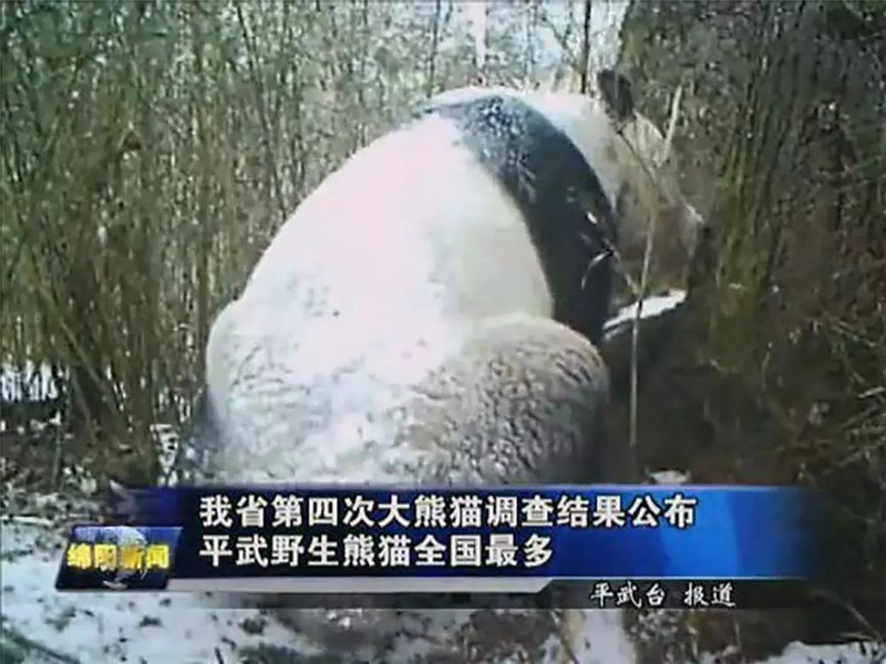 20171026_111142_053.jpg 20171026_111142_053.jpg