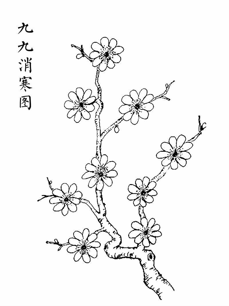 消寒图梅花国画简笔轮廓.jpg